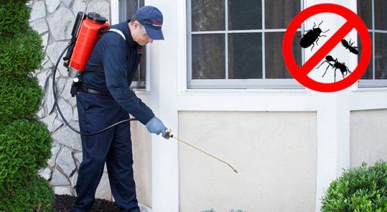 Ulukent Böcek ve Haşere İlaçlama böcek ilaçlama ve haşere kontrolü — ilaclama-tr.com